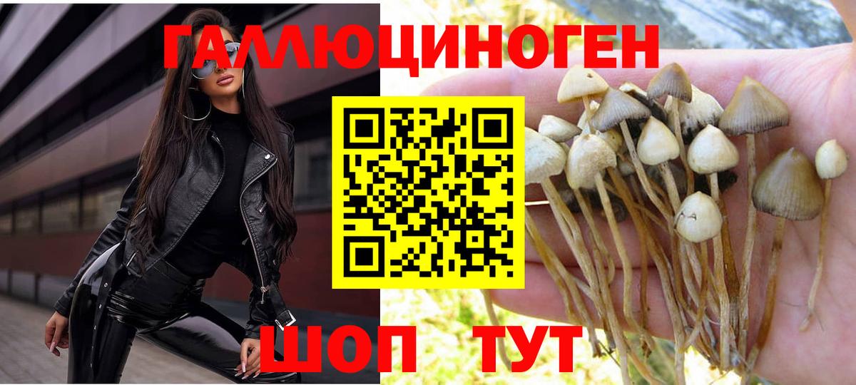 Галлюциногенные грибы MAGIC MUSHROOMS Верхняя Салда