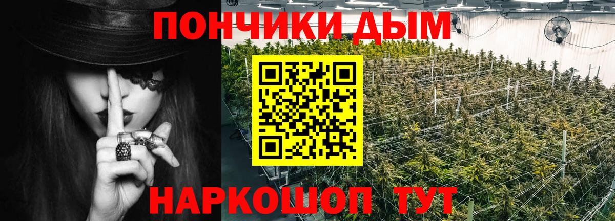 Верхняя Салда  МАРИХУАНА тримм  Каннабис Ganja  Вход с VPN  Канабис гибрид  Канабис сатива 